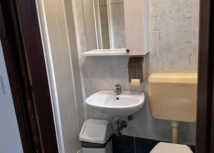 Pensionat Vesna 3*