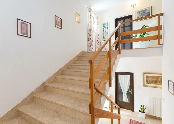 Vesna Pensionat 3*